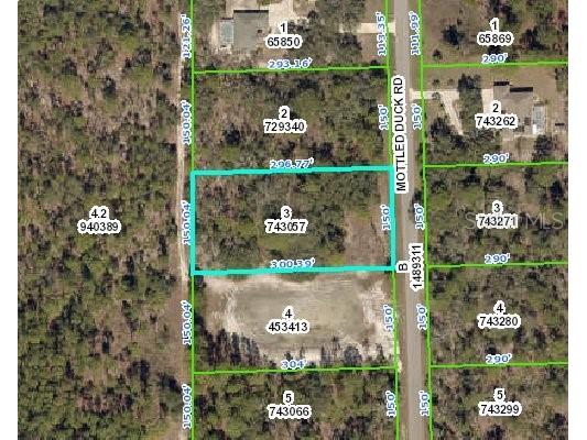 13111 Mottled Duck Road Weeki Wachee FL 34614 W7837838 image1