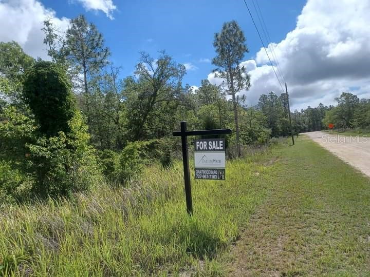 13111 Robin Avenue Weeki Wachee FL 34614 W7861634 image1