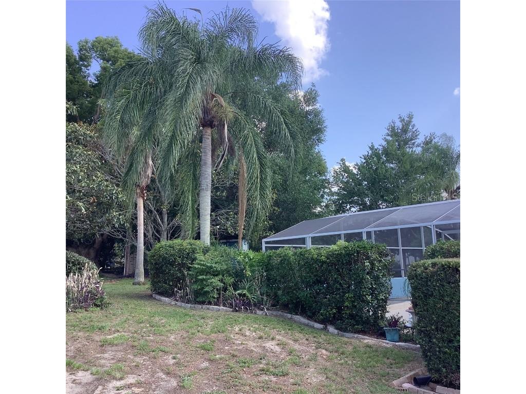 13111 Sunshine Circle Clermont FL 34711 O6311323 image34