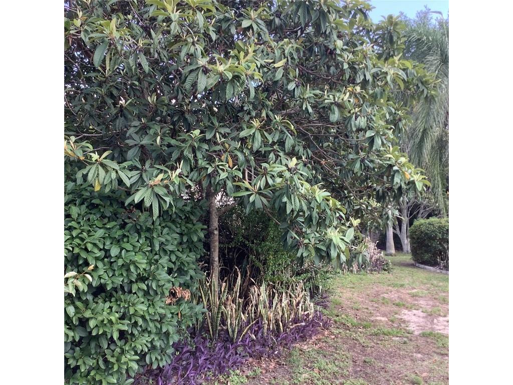 13111 Sunshine Circle Clermont FL 34711 O6311323 image35