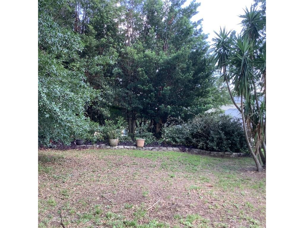 13111 Sunshine Circle Clermont FL 34711 O6311323 image37