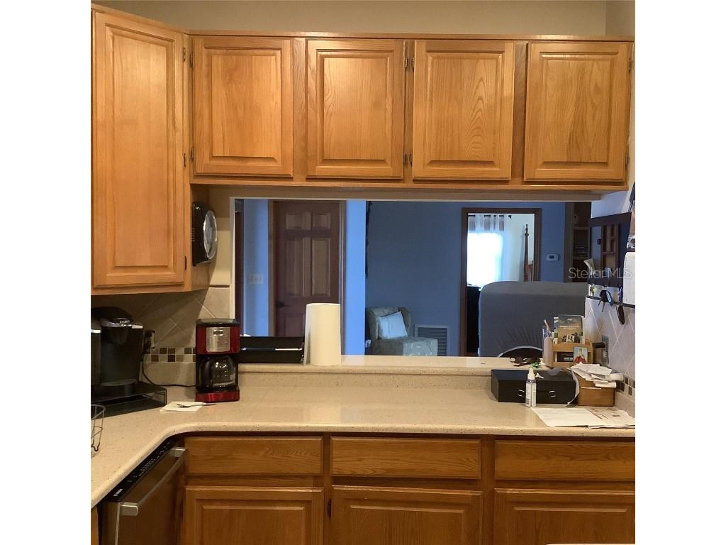 13111 Sunshine Circle Clermont FL 34711 O6311323 image63