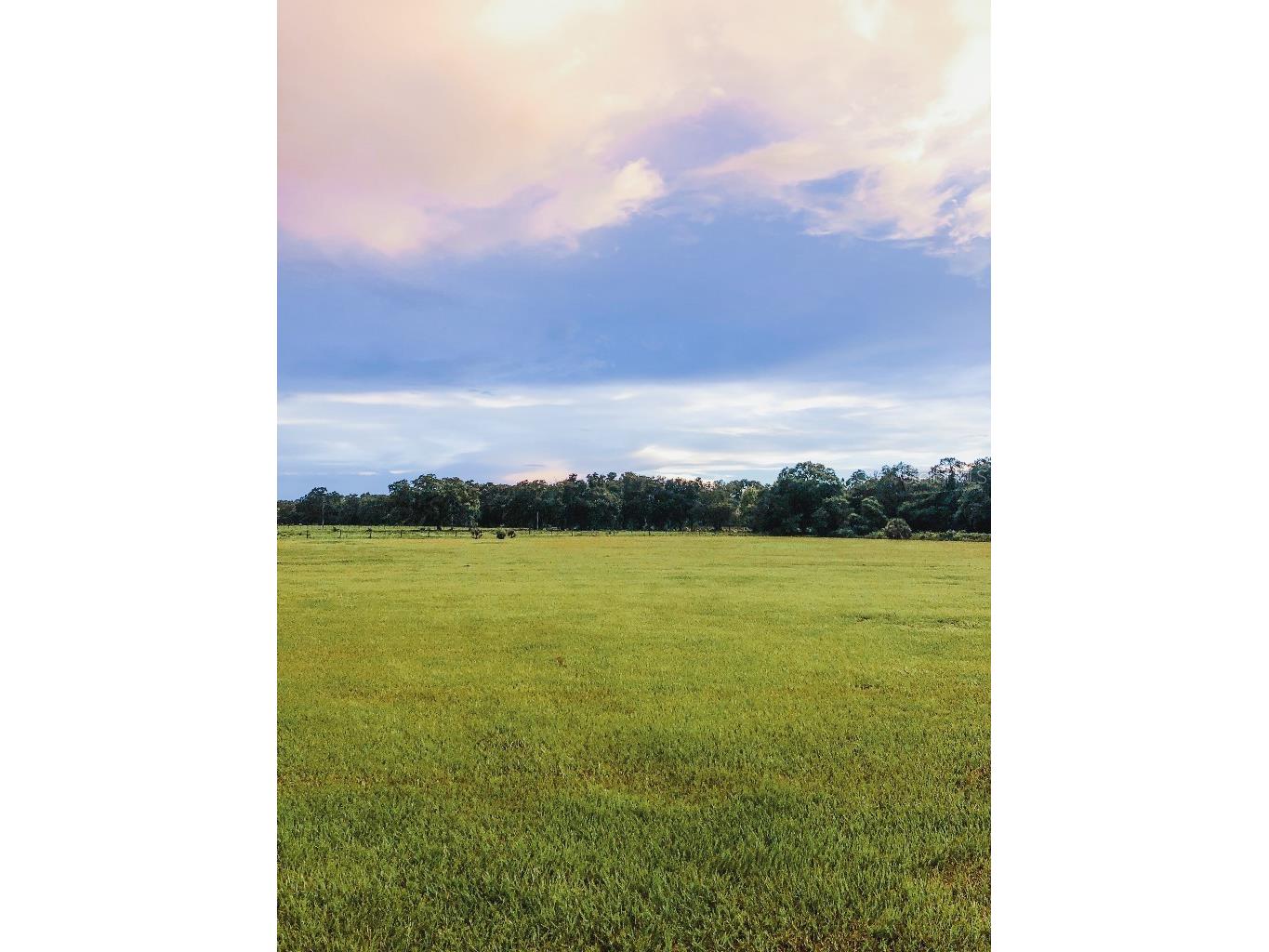 13112 Balm Boyette Road Riverview FL 33579 TB8494139 image46