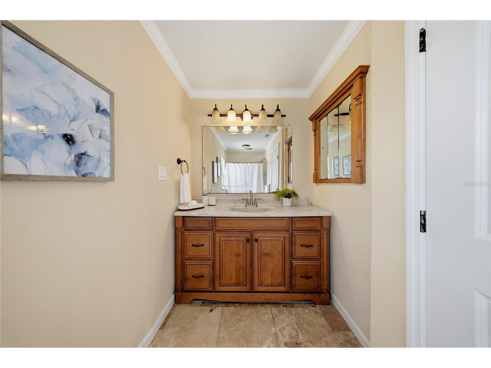 13112 Balm Boyette Road Riverview FL 33579 TB8523541 image37