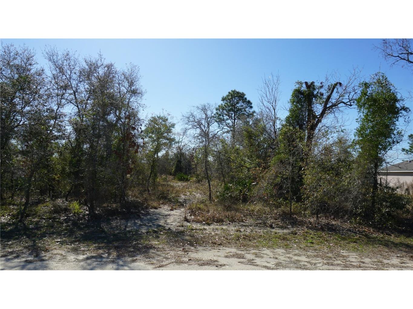 13112 Johnathan Drive Weeki Wachee FL 34614 T3502353 image1