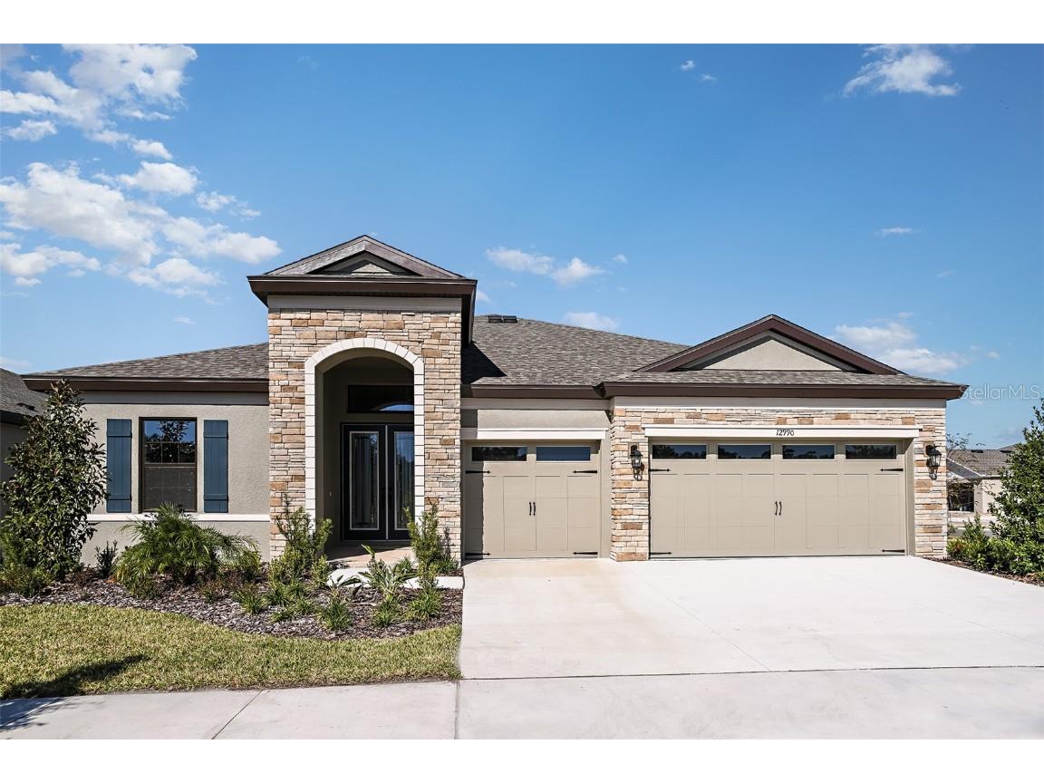 13112 Wellspring Drive Lithia FL 33547 T3540330 image1