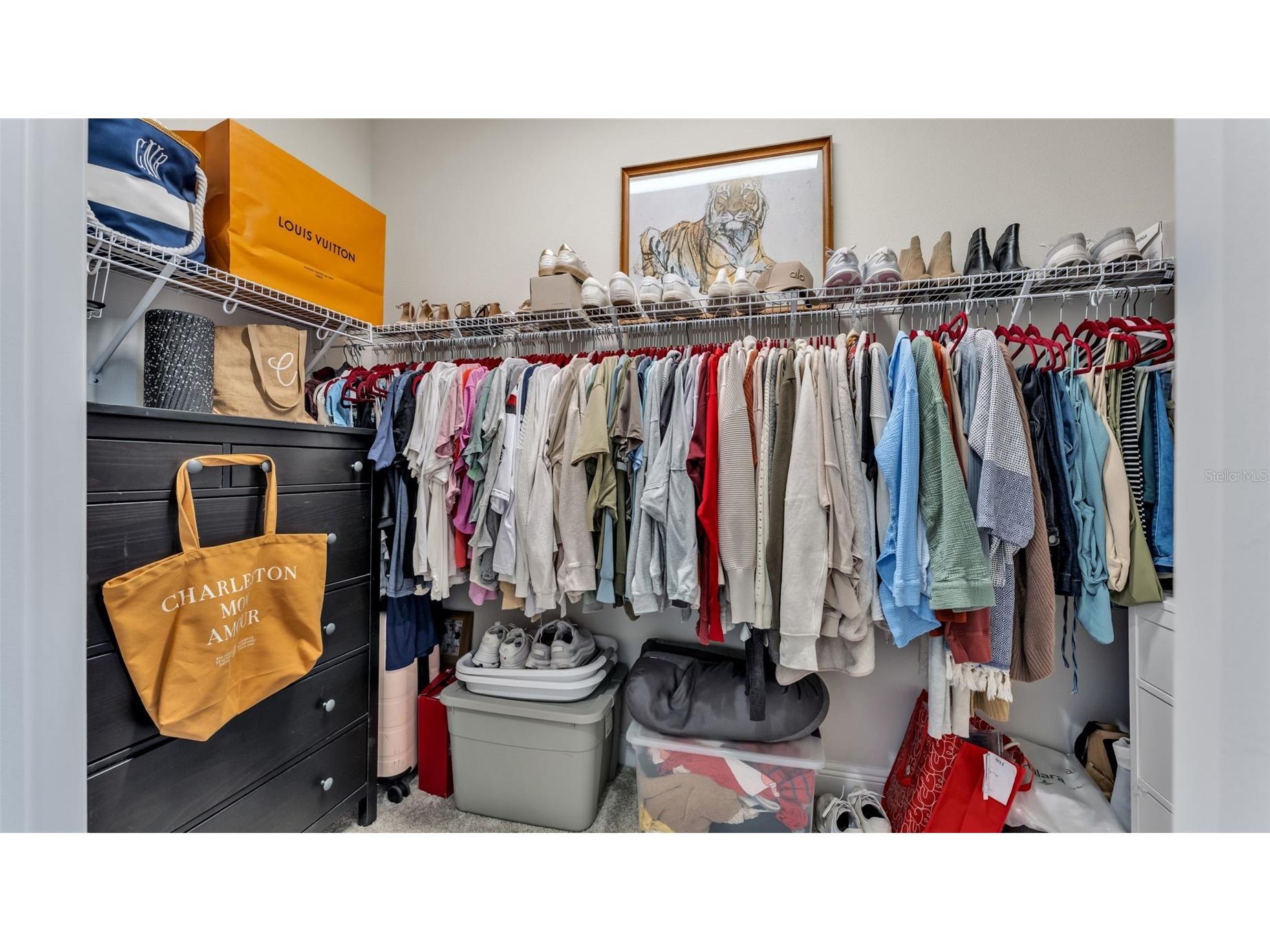 13112 Wellspring Drive Lithia FL 33547 L4961196 image35
