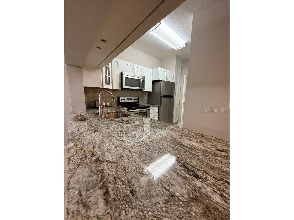 13113 Sanctuary Cove Drive #103 Temple Terrace FL 33637 TB8457179 image16