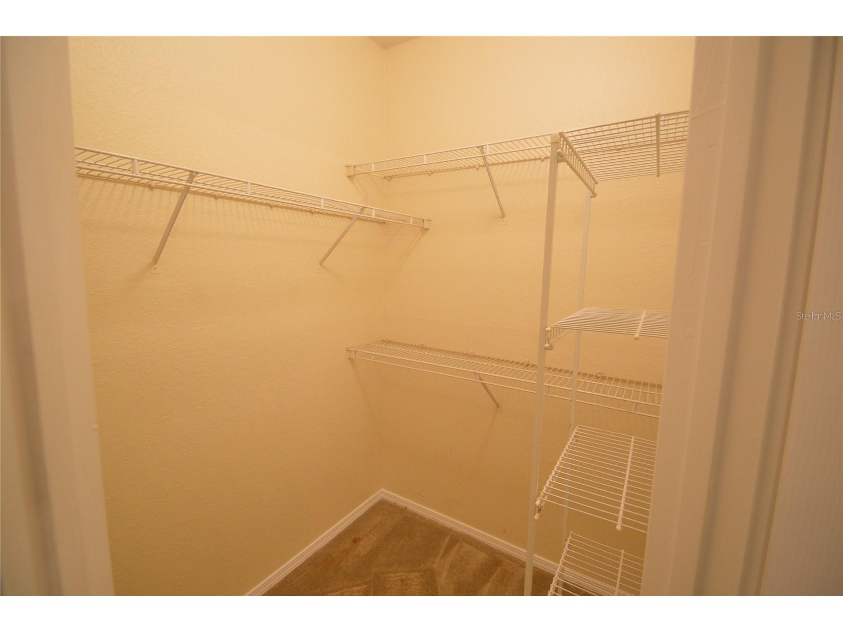 13113 Sanctuary Cove Drive #204 Temple Terrace FL 33637 O6394819 image7
