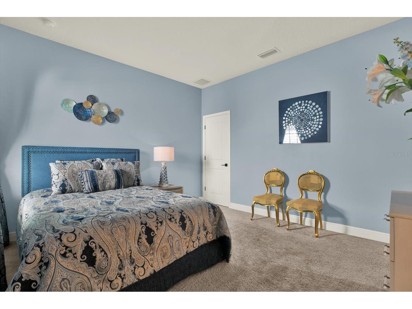 13113 Wildflower Meadow Drive Riverview FL 33579 TB8477264 image23