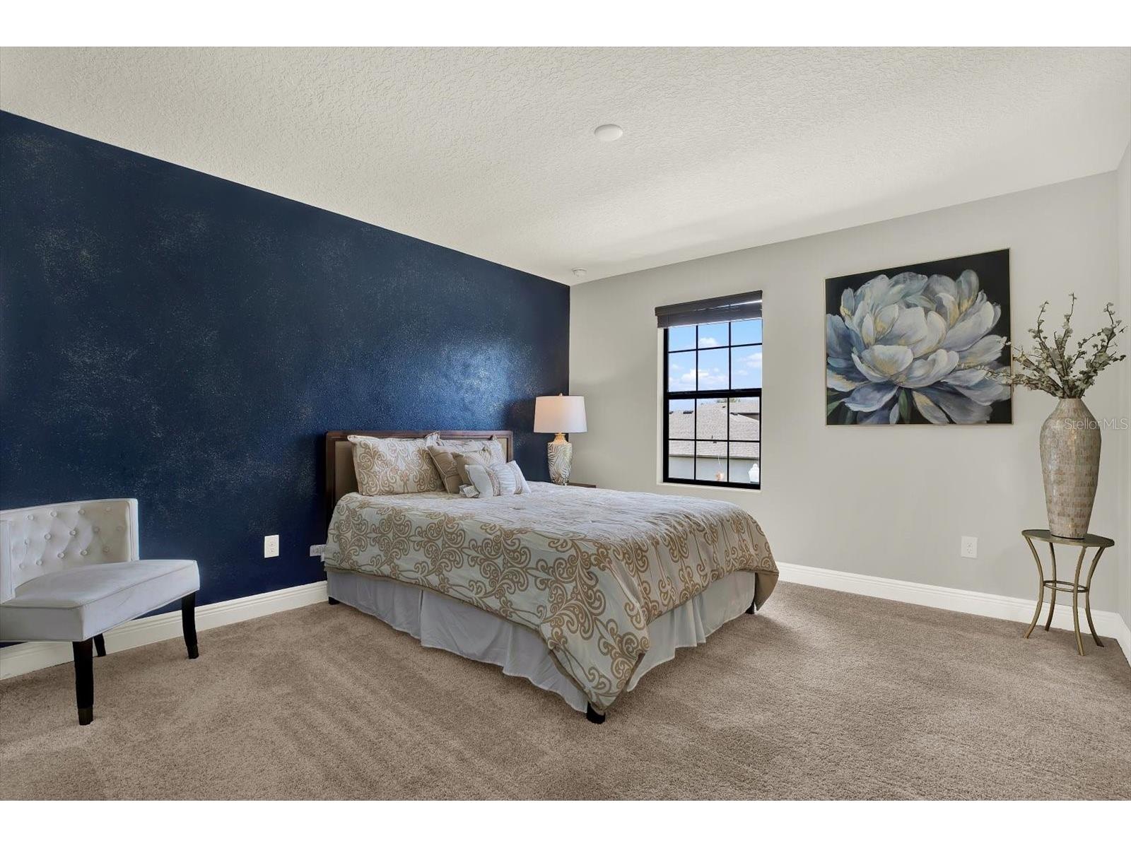 13113 Wildflower Meadow Drive Riverview FL 33579 TB8477264 image44