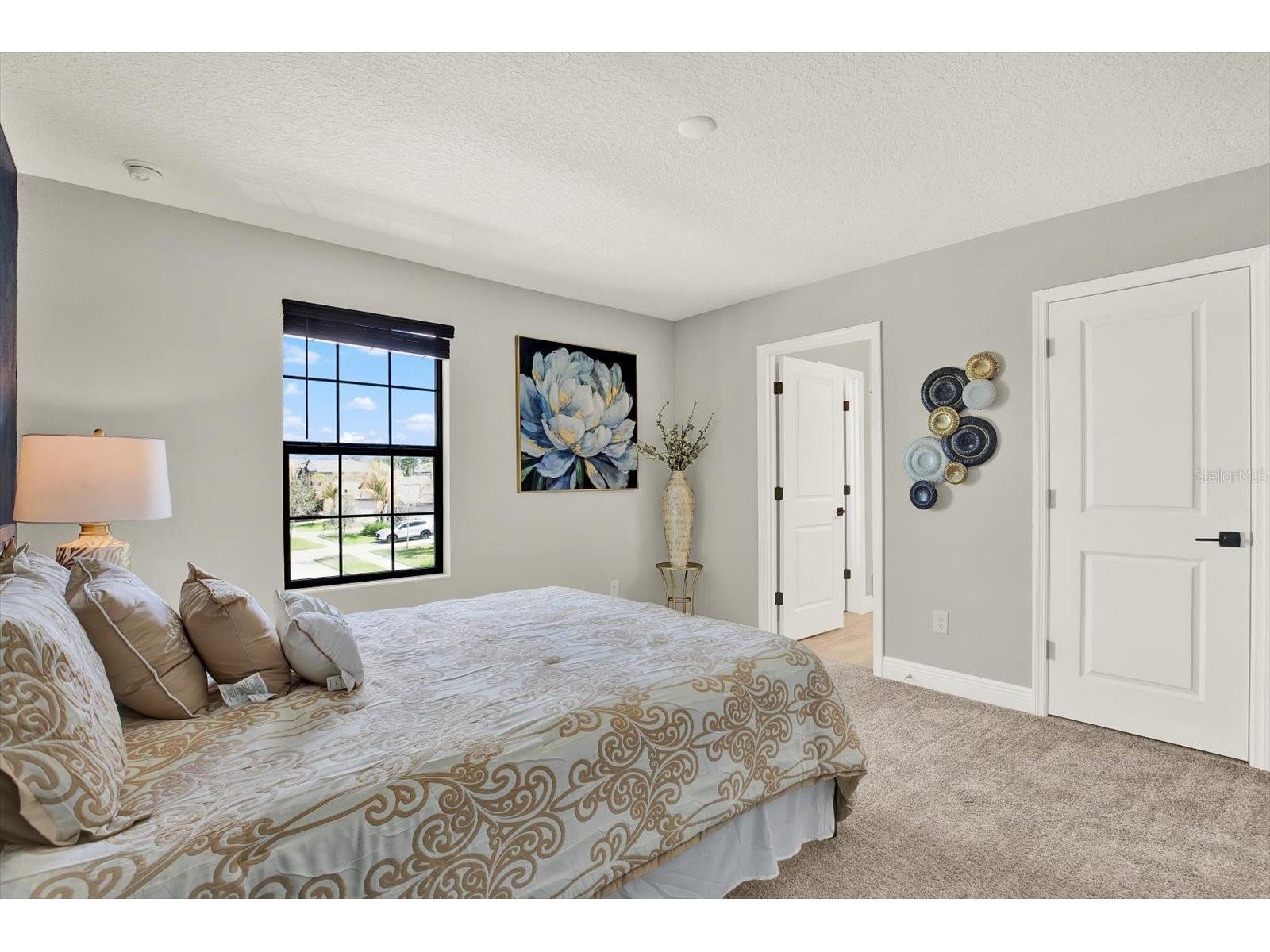 13113 Wildflower Meadow Drive Riverview FL 33579 TB8477264 image46