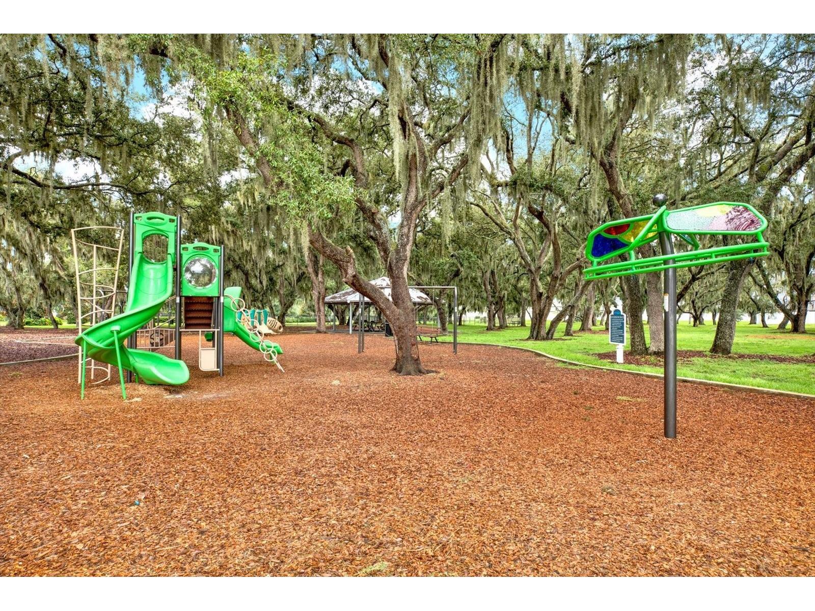 13113 Wildflower Meadow Drive Riverview FL 33579 TB8477264 image75