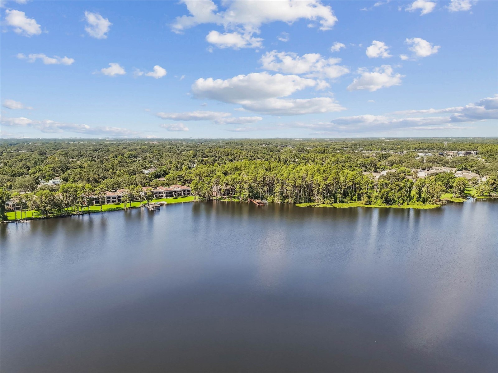 13114 Tifton Drive Tampa FL 33618 - Lake Ellen TB8487322 image53