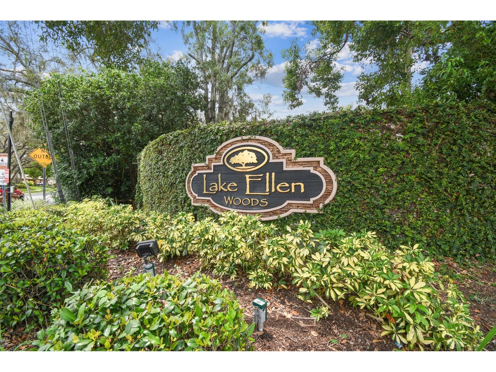 13114 Tifton Drive Tampa FL 33618 - Lake Ellen TB8487322 image54