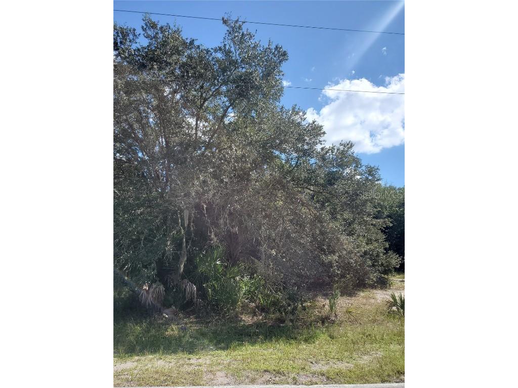 13115 Panatella Drive Punta Gorda FL 33955 C7508041 image2