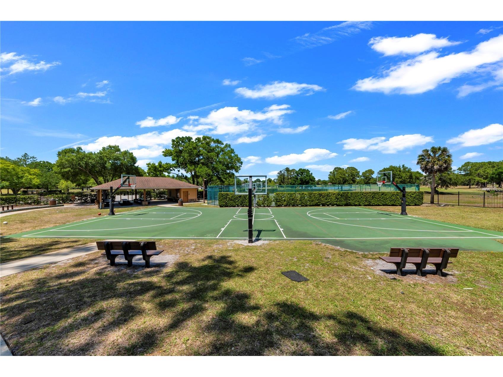 13115 Royal George Avenue Odessa FL 33556 TB8519557 image66