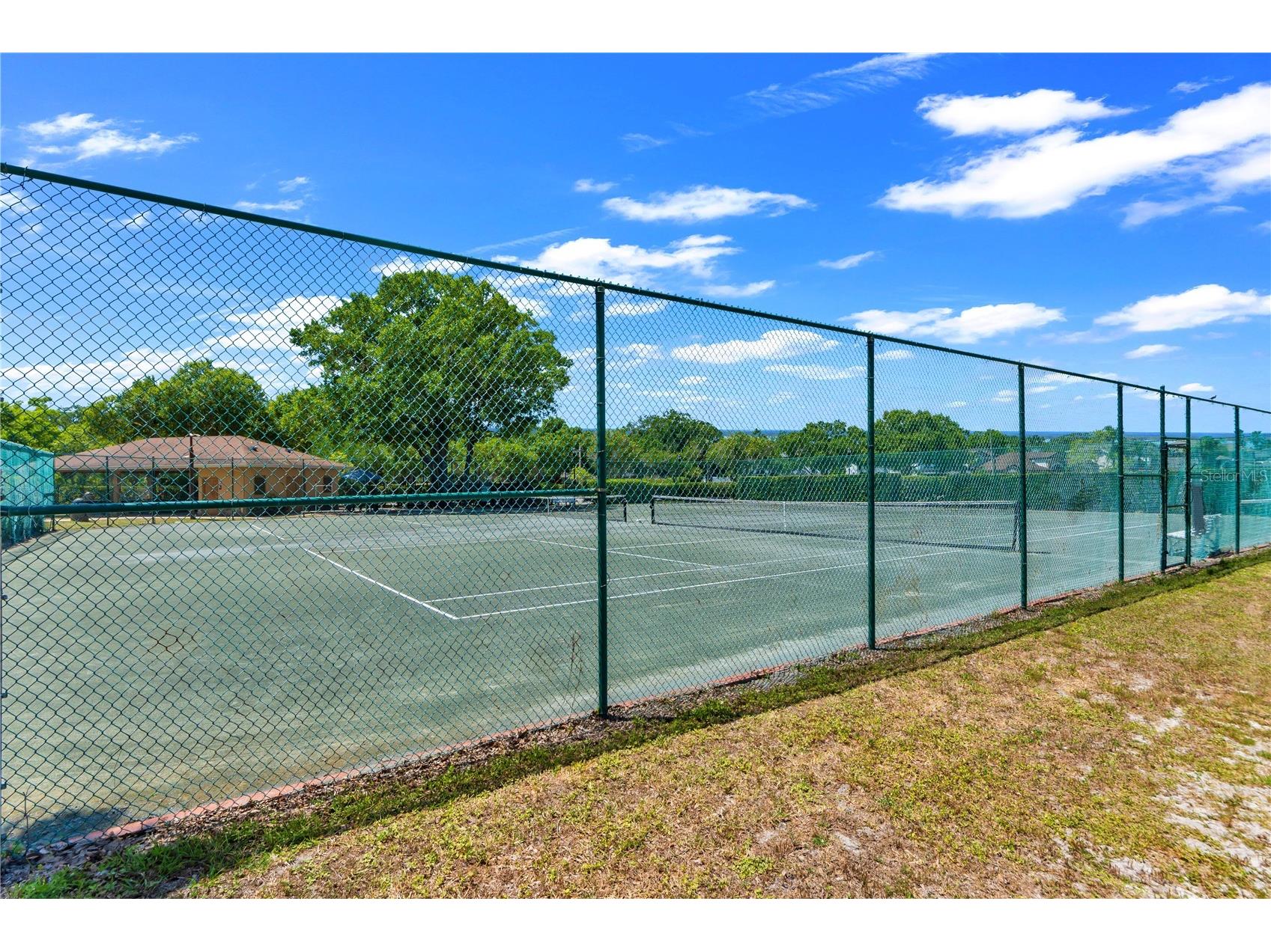 13115 Royal George Avenue Odessa FL 33556 TB8519557 image67
