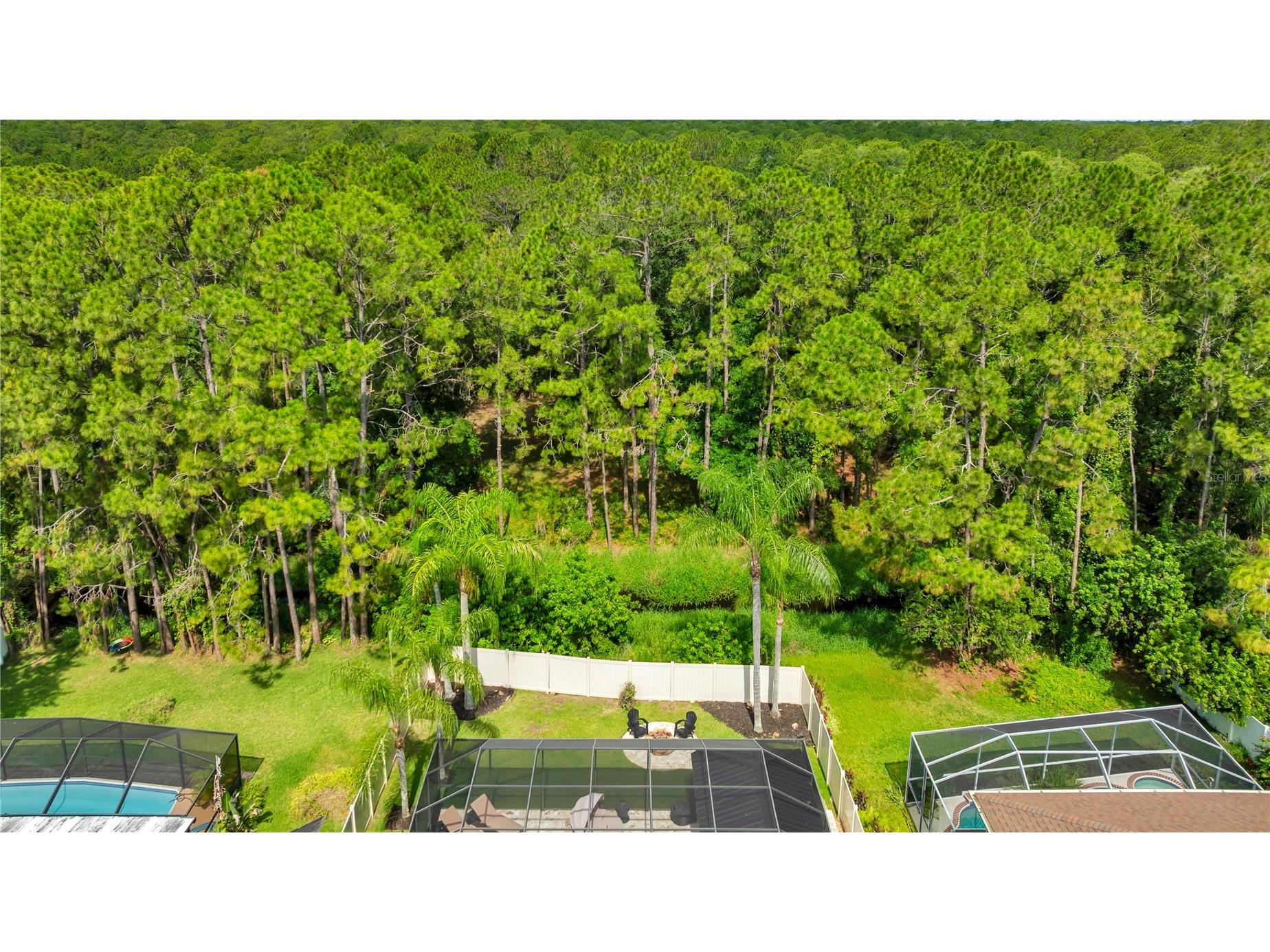13115 Royal George Avenue Odessa FL 33556 TB8532248 image54