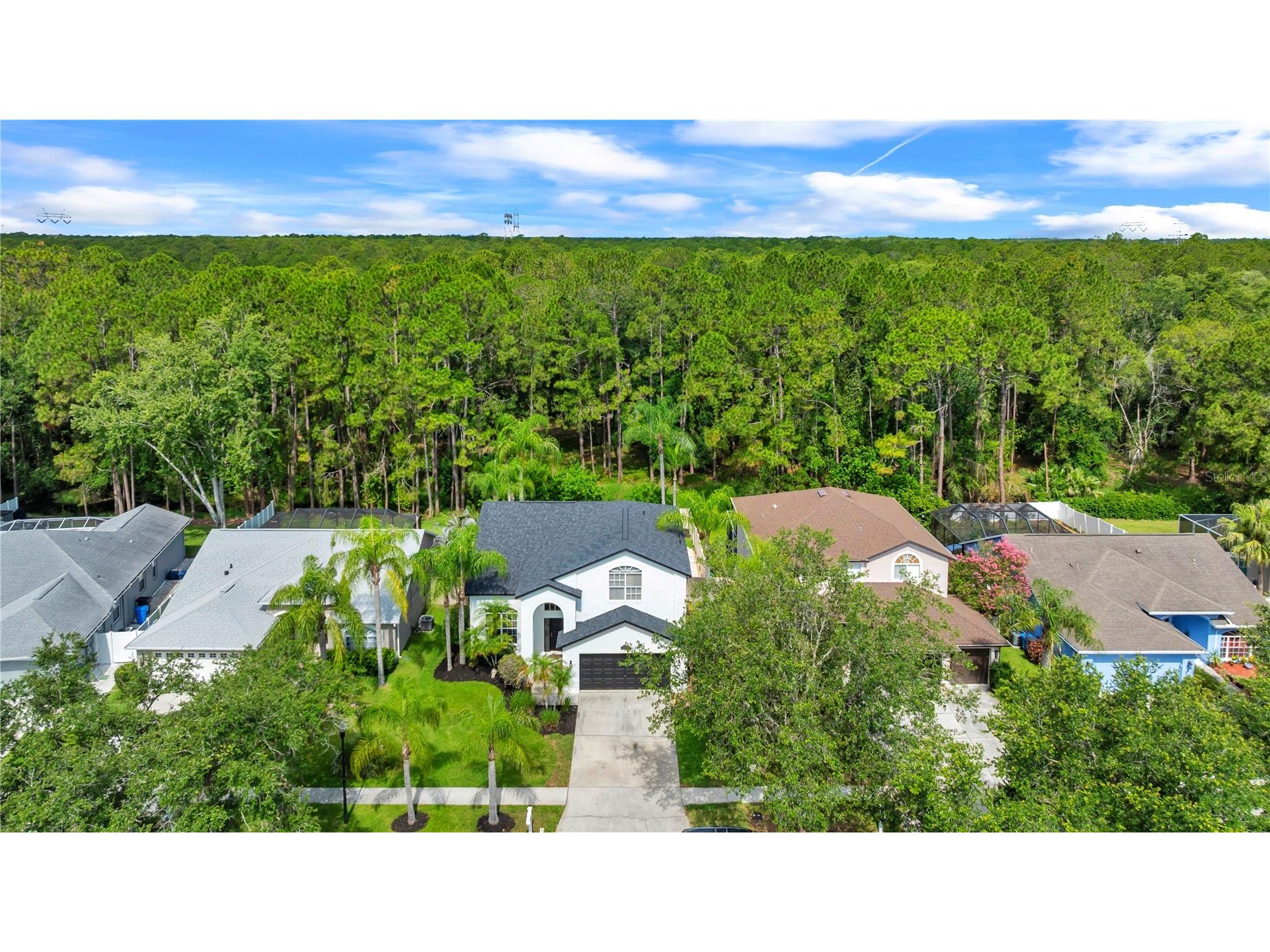 13115 Royal George Avenue Odessa FL 33556 TB8532248 image56