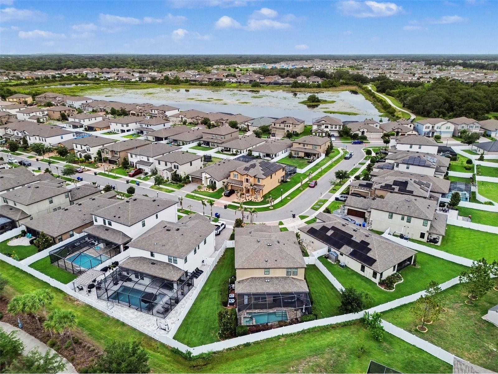 13116 Foxtail Fern Drive Riverview FL 33579 TB8515068 image20
