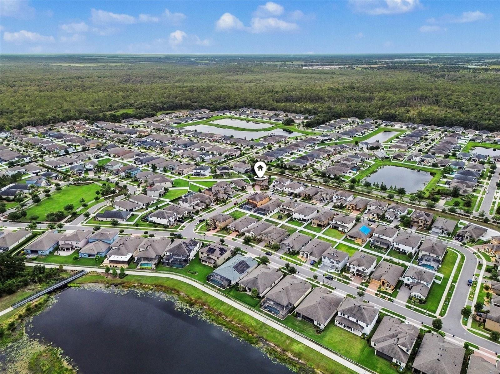 13116 Foxtail Fern Drive Riverview FL 33579 TB8515068 image25
