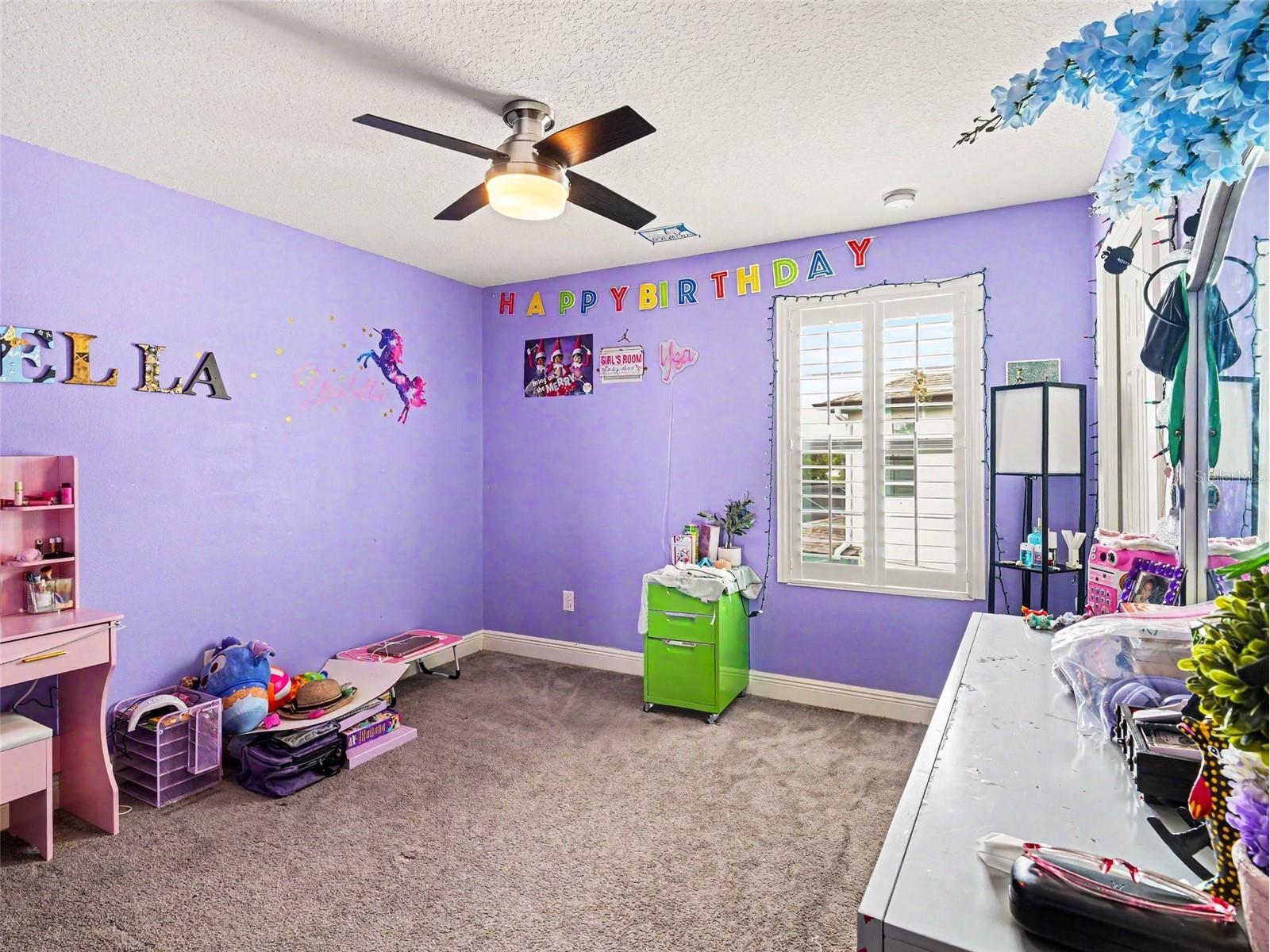 13116 Foxtail Fern Drive Riverview FL 33579 TB8515068 image9