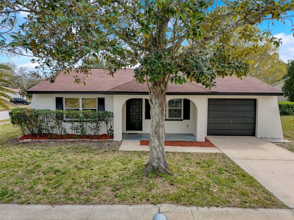 13116 Woodward Drive Hudson FL 34667 T3504069 image1