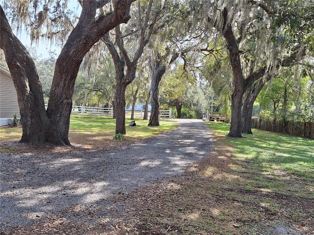 13117 Media Lane Hudson FL 34667 W7880766 image2