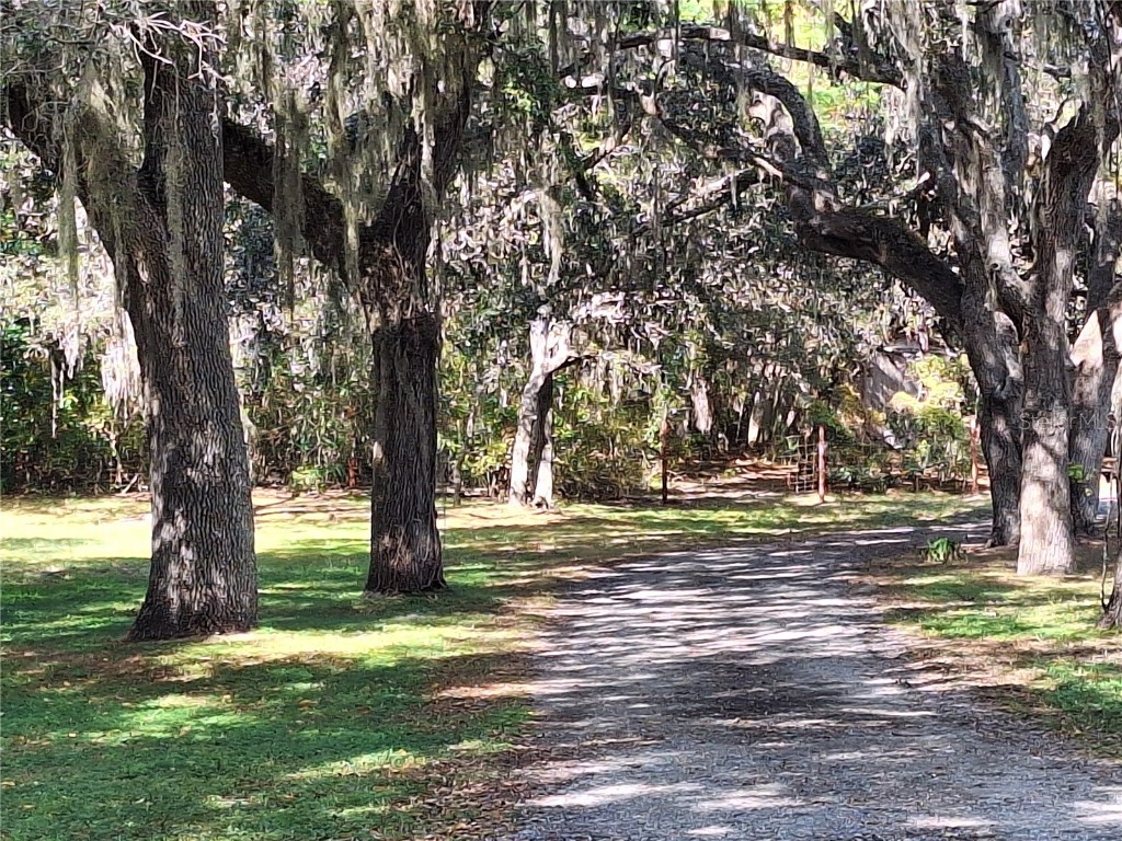 13117 Media Lane Hudson FL 34667 W7880766 image4