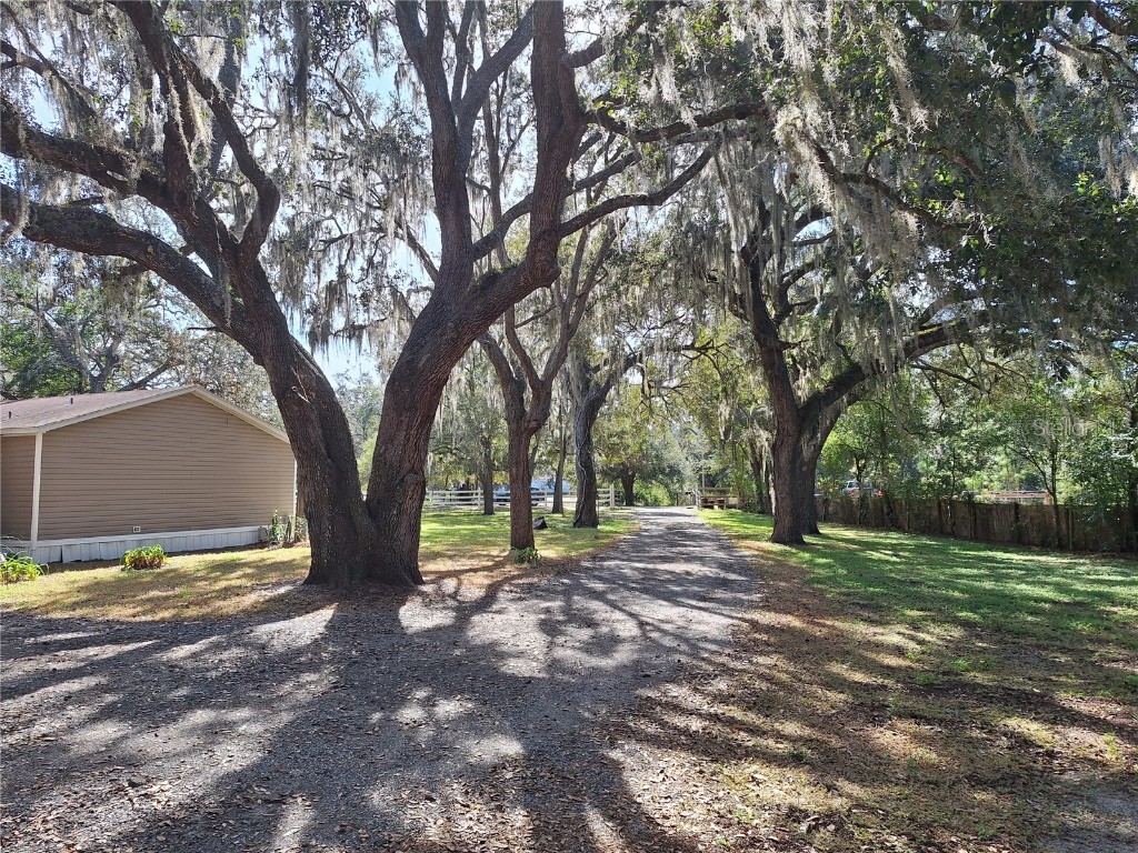 13117 Media Lane Hudson FL 34667 W7880766 image55