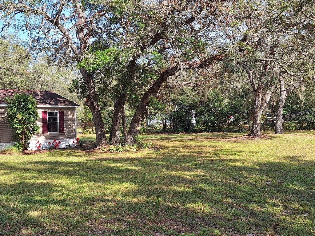 13117 Media Lane Hudson FL 34667 W7880766 image63