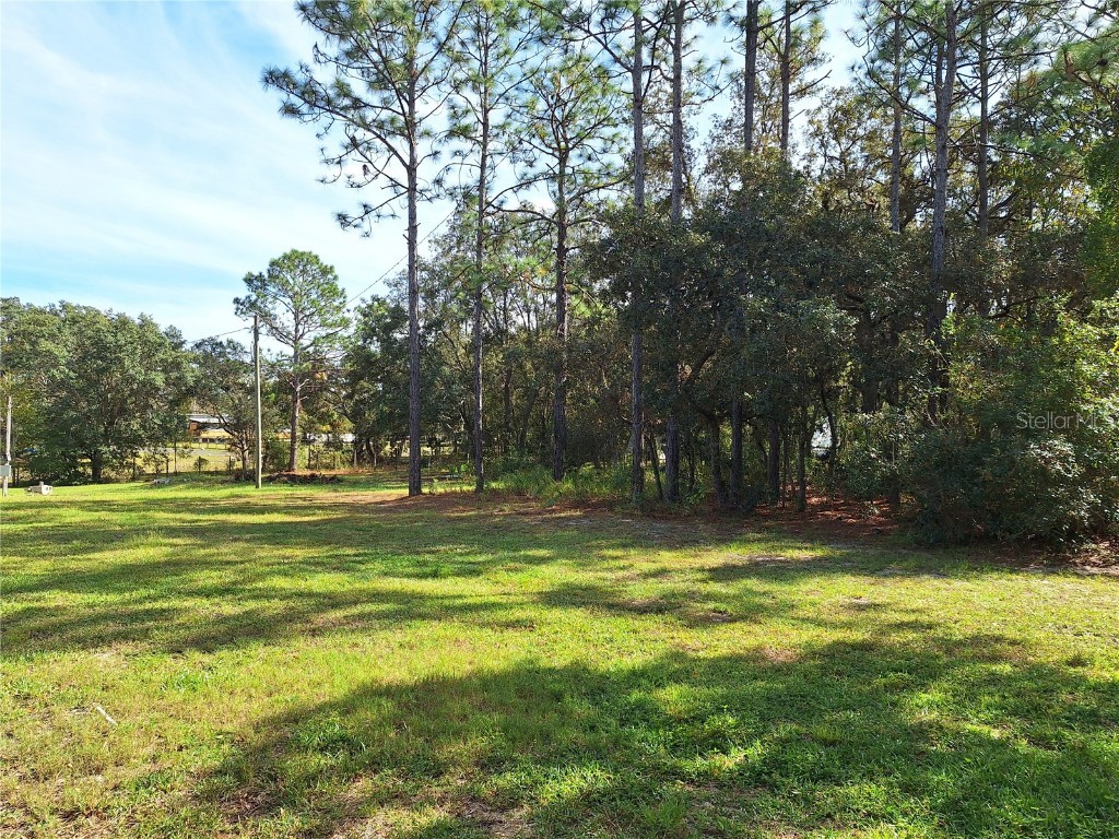 13117 Media Lane Hudson FL 34667 W7880766 image70