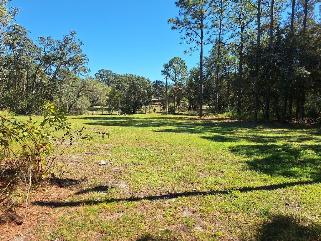 13117 Media Lane Hudson FL 34667 W7880766 image76