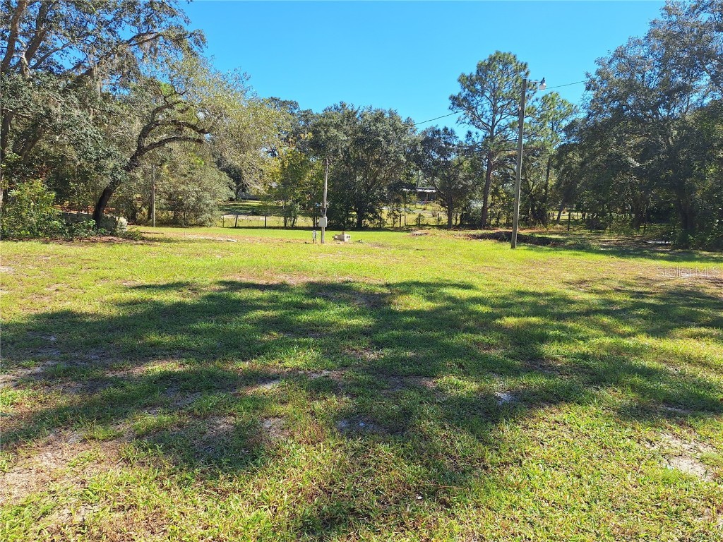 13117 Media Lane Hudson FL 34667 W7880766 image77