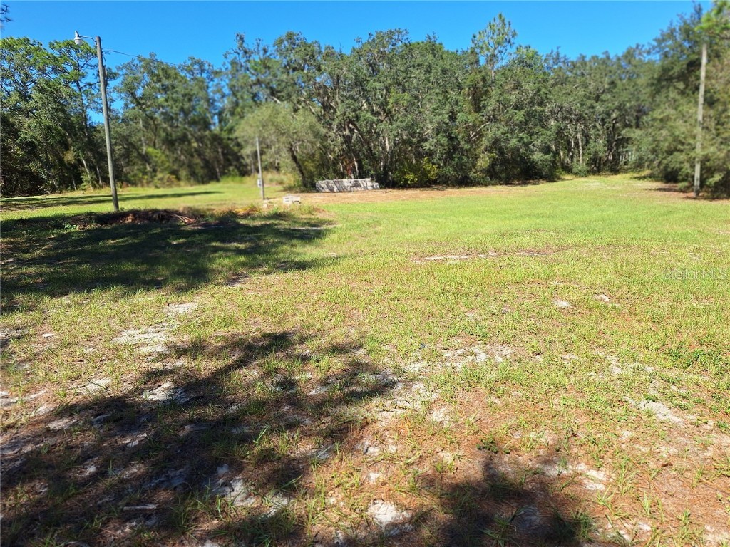 13117 Media Lane Hudson FL 34667 W7880766 image78