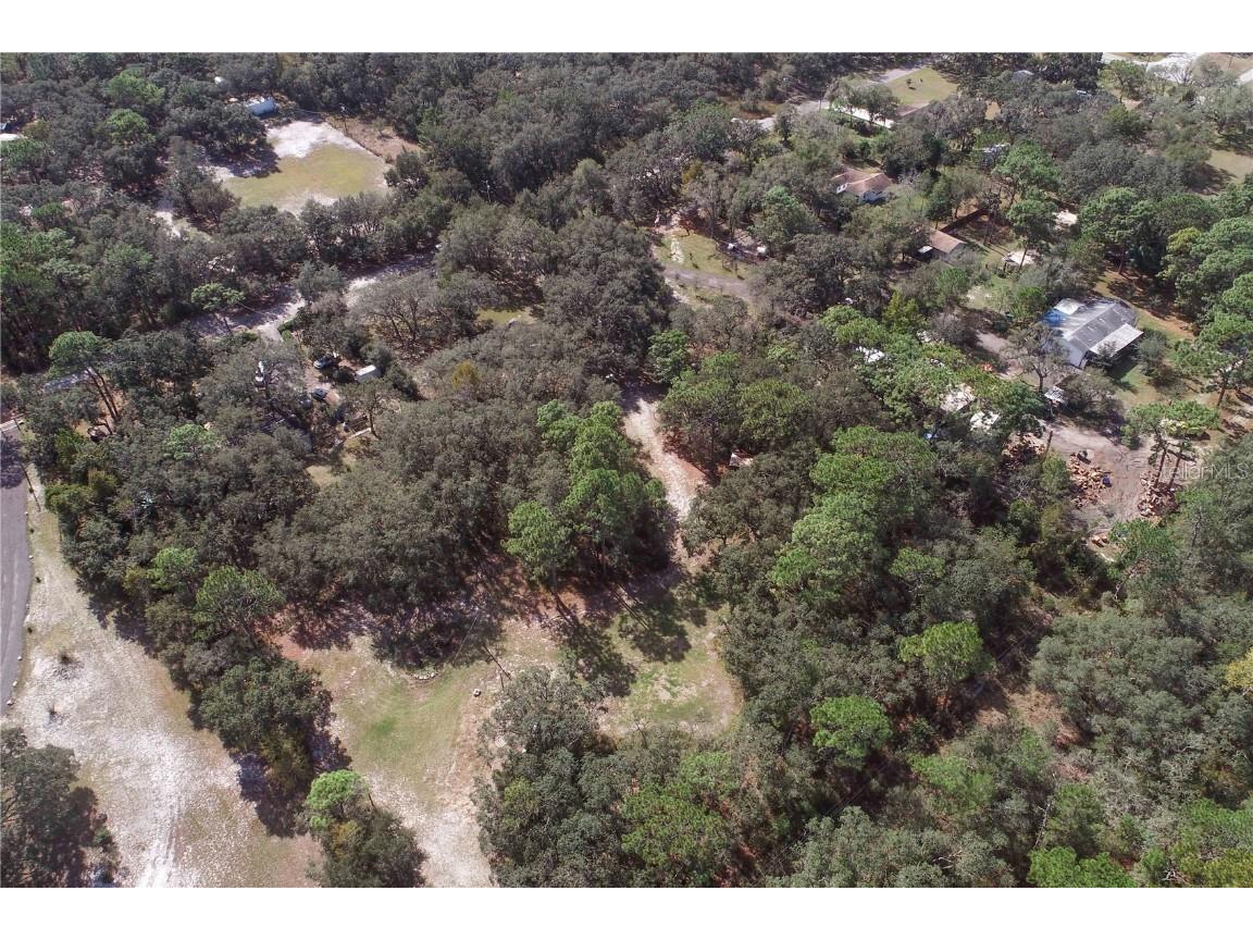 13117 Media Lane Hudson FL 34667 W7880766 image82