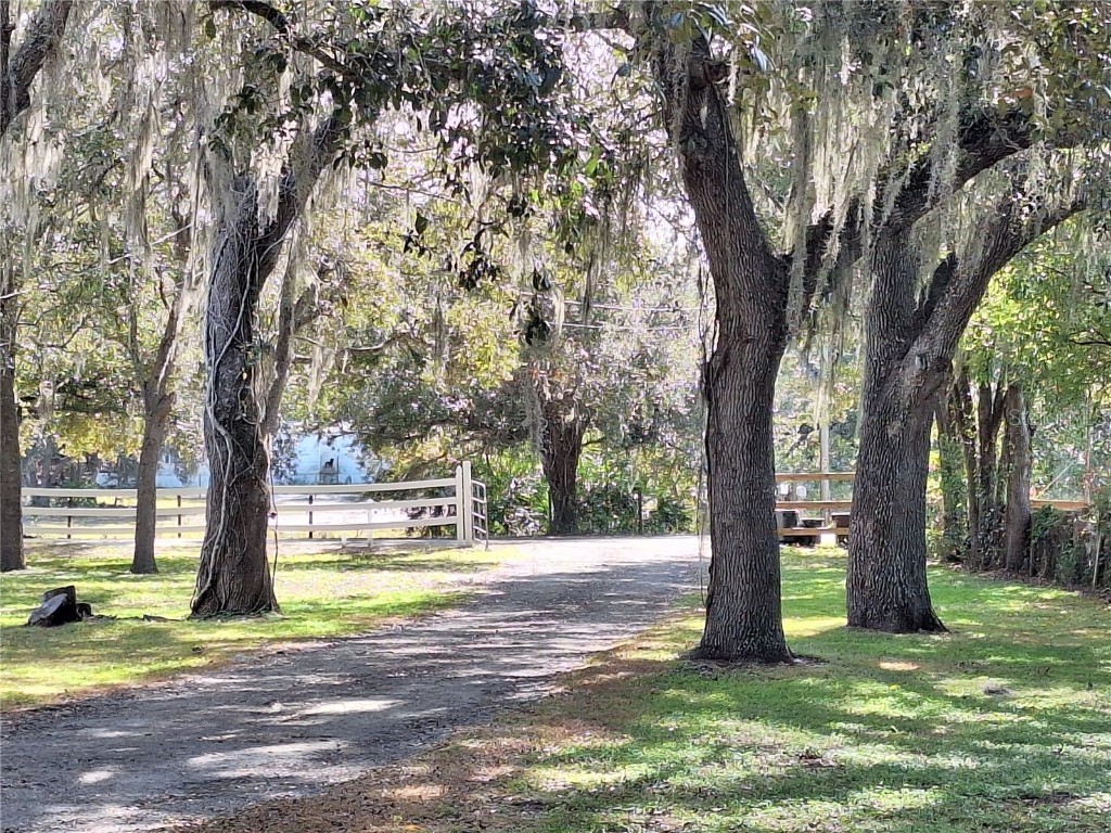 13117 Media Lane Hudson FL 34667 W7880766 image84