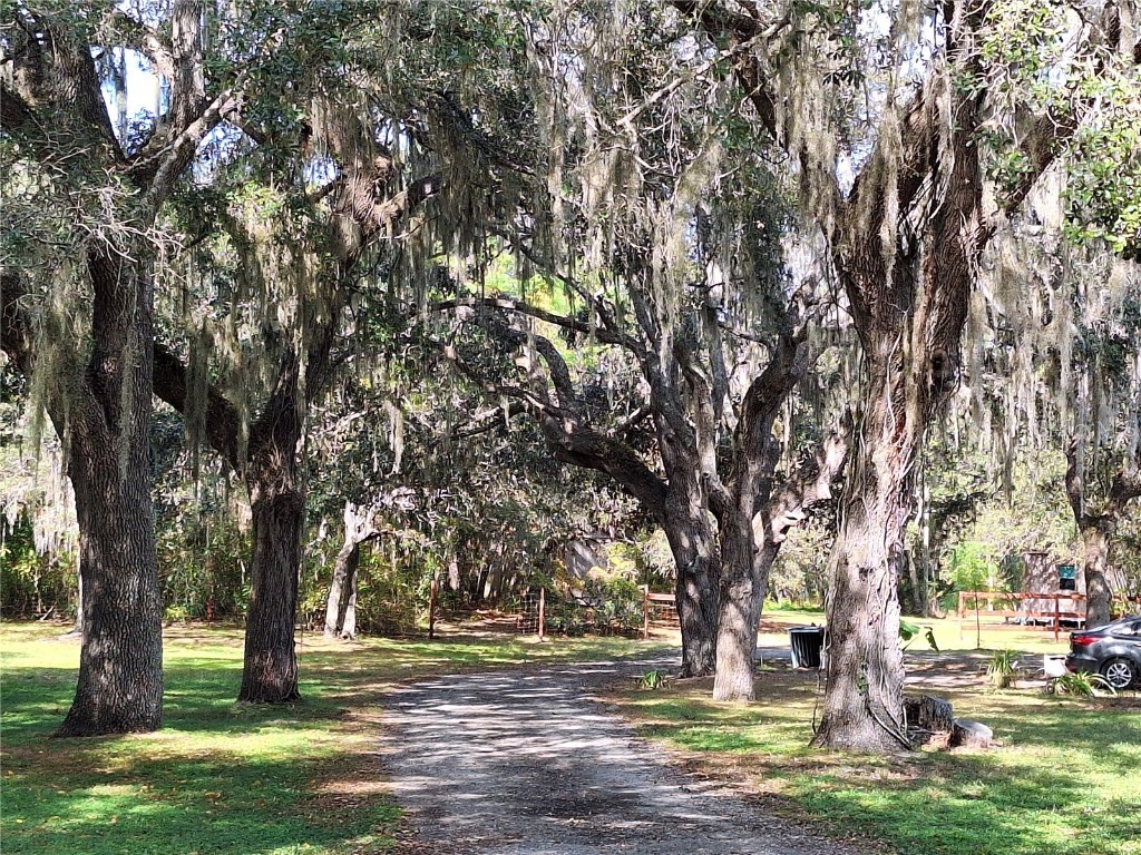 13117 Media Lane Hudson FL 34667 W7880766 image85