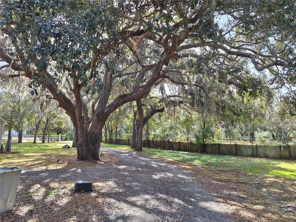 13117 Media Lane Hudson FL 34667 W7880766 image87