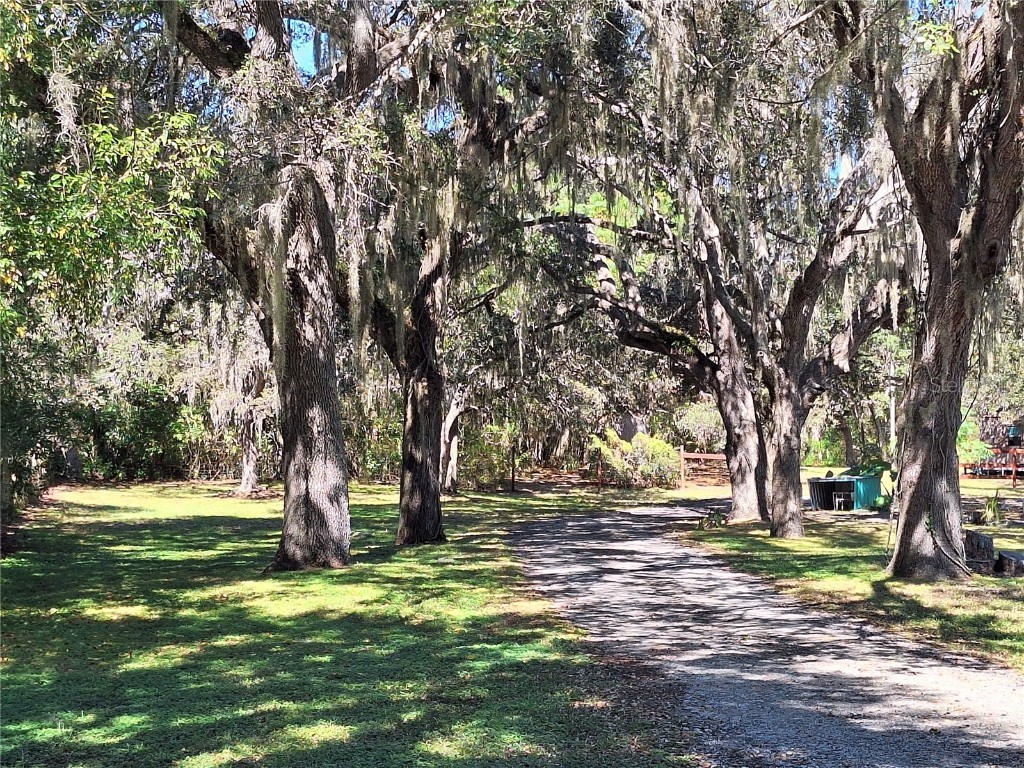 13117 Media Lane Hudson FL 34667 W7880766 image97