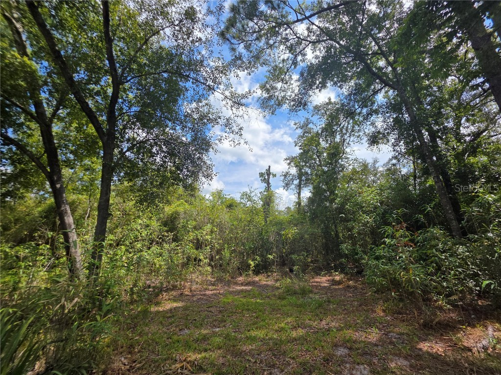 13117 N County Road 225 Gainesville FL 32609 GC533903 image15