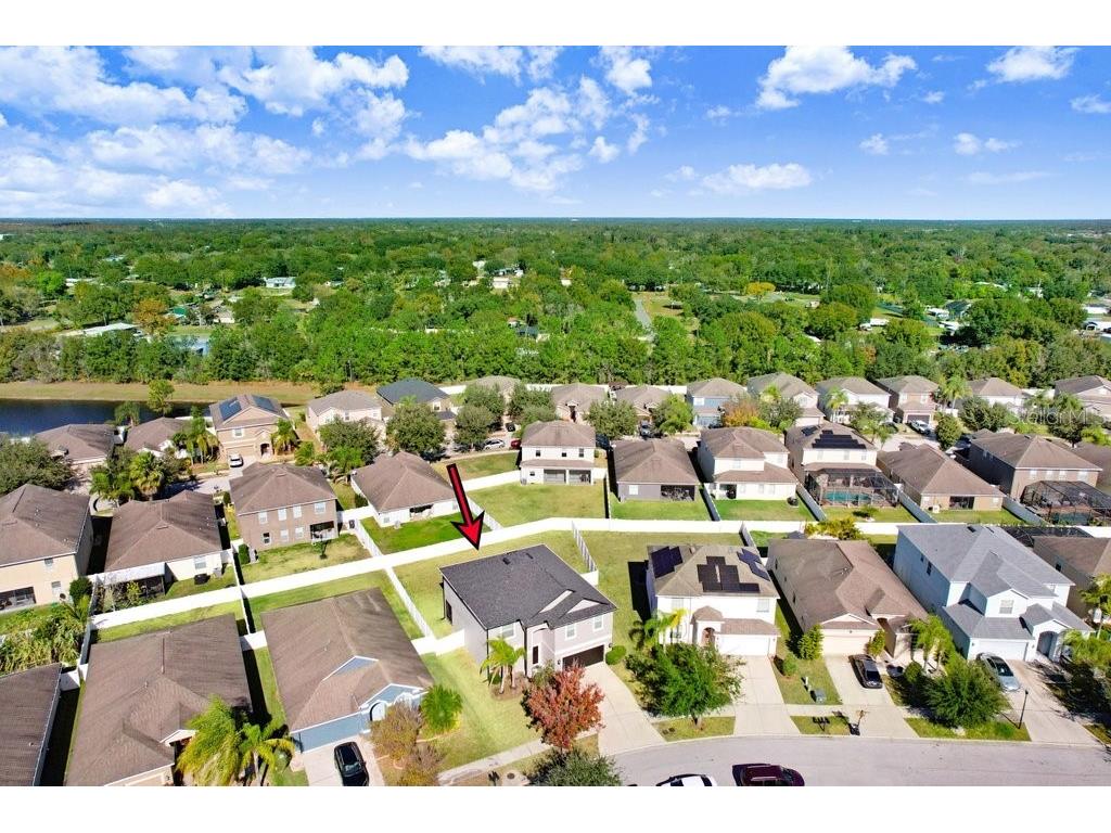 13117 Royal Pines Avenue Riverview FL 33579 L4958080 image38