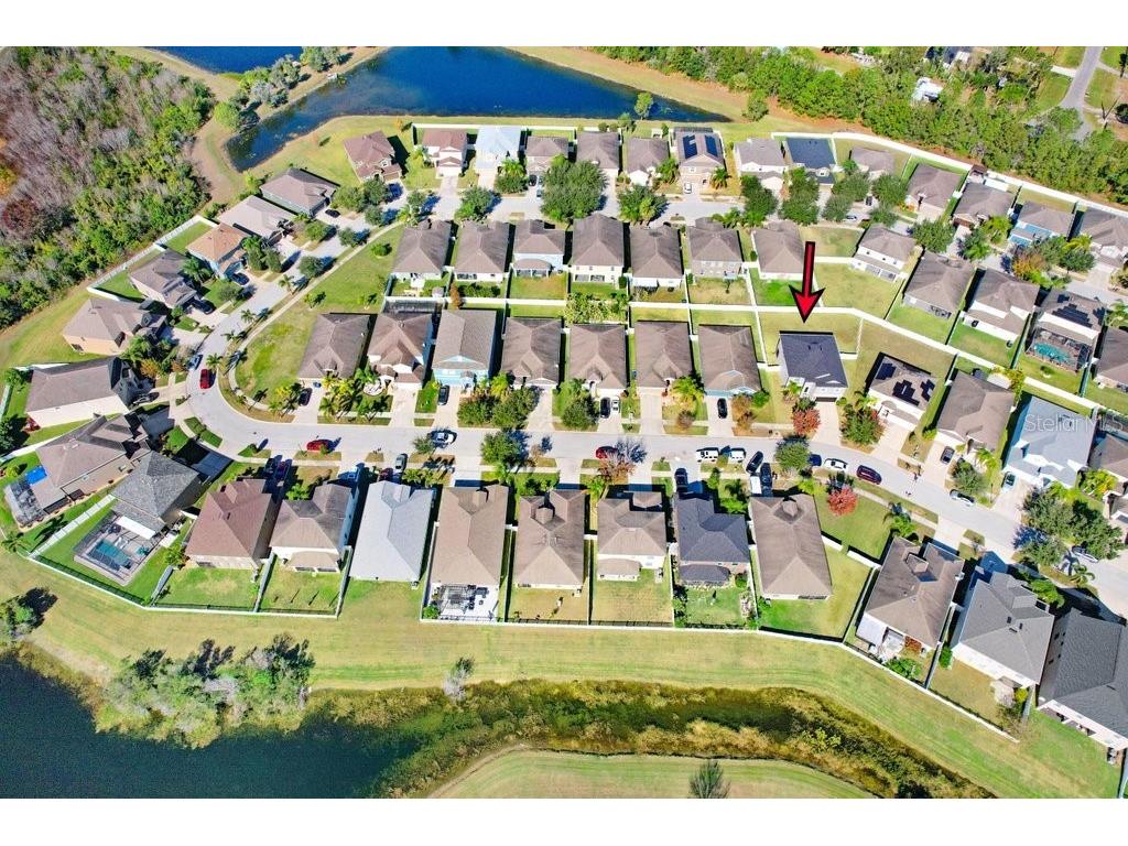 13117 Royal Pines Avenue Riverview FL 33579 L4958080 image43