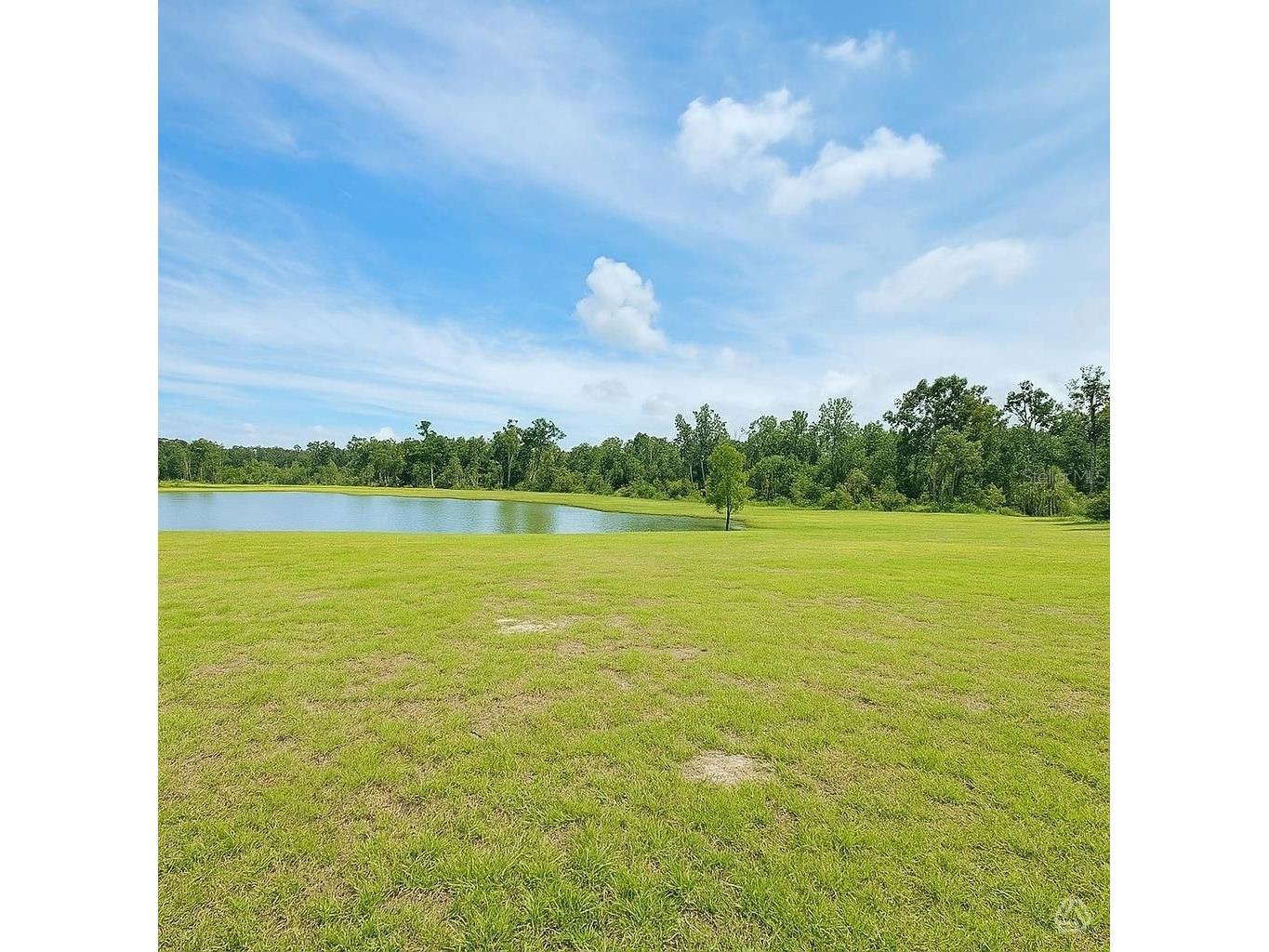 13118 Sassafras Trail Parrish FL 34219 A4692183 image8