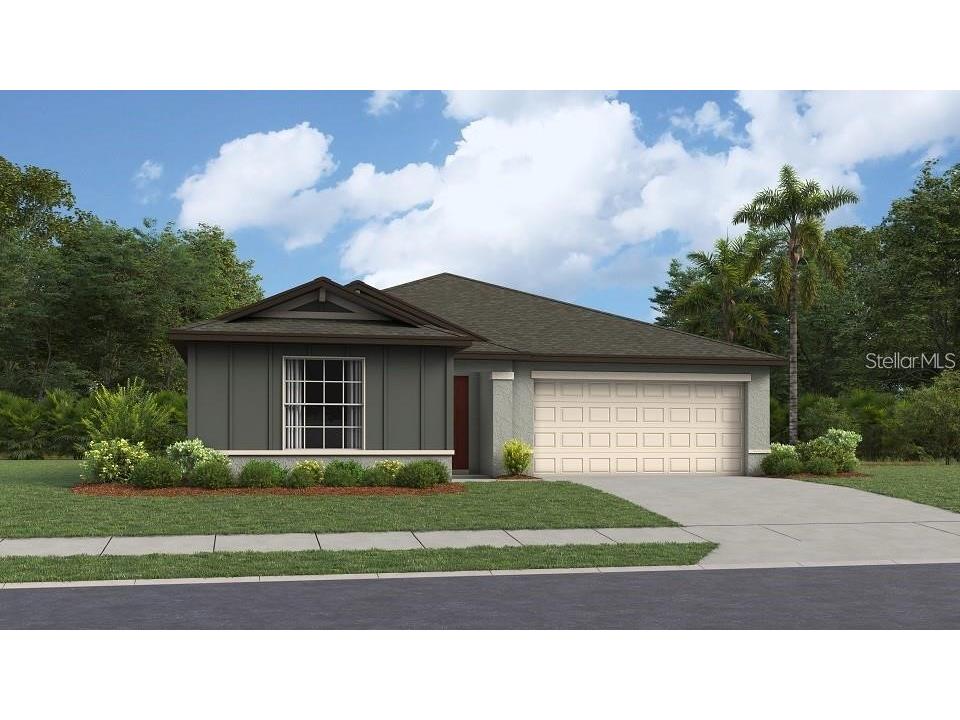 13119 Palmerston Road Riverview FL 33579 T3499327 image1