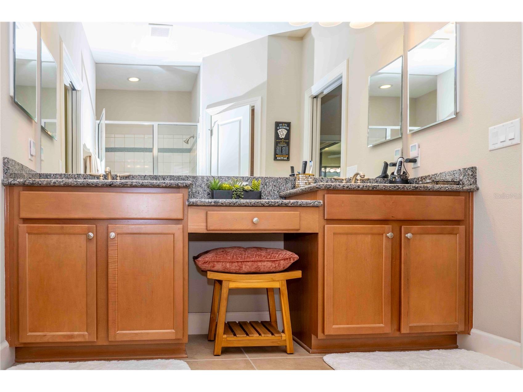 13119 Prima Drive Lakewood Ranch FL 34211 A4690592 image30