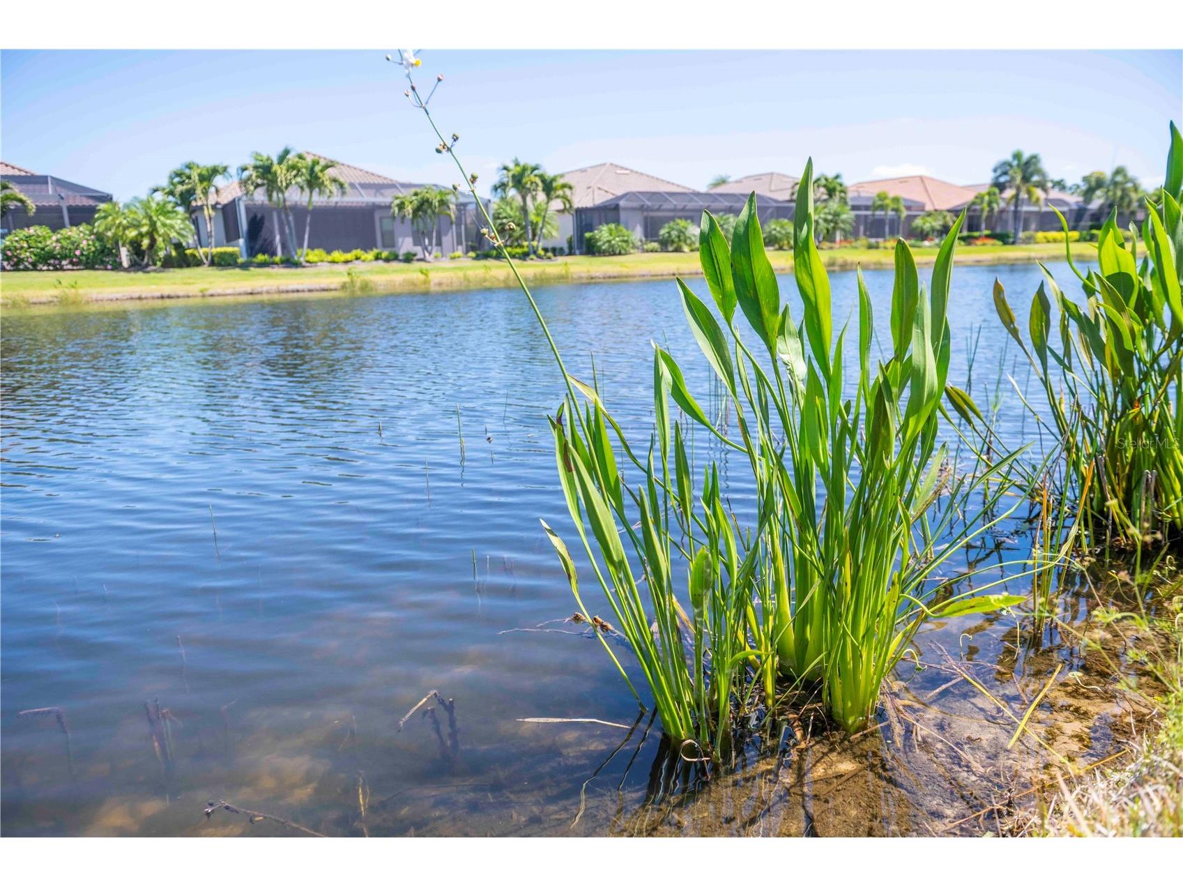 13119 Prima Drive Lakewood Ranch FL 34211 A4690592 image43