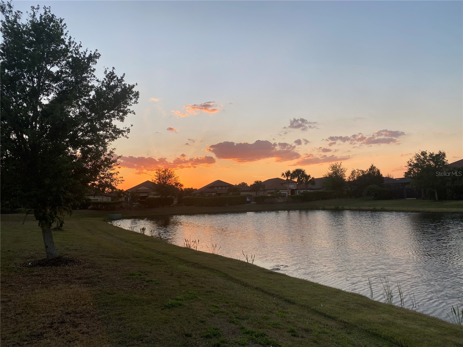 13119 Prima Drive Lakewood Ranch FL 34211 A4690592 image8
