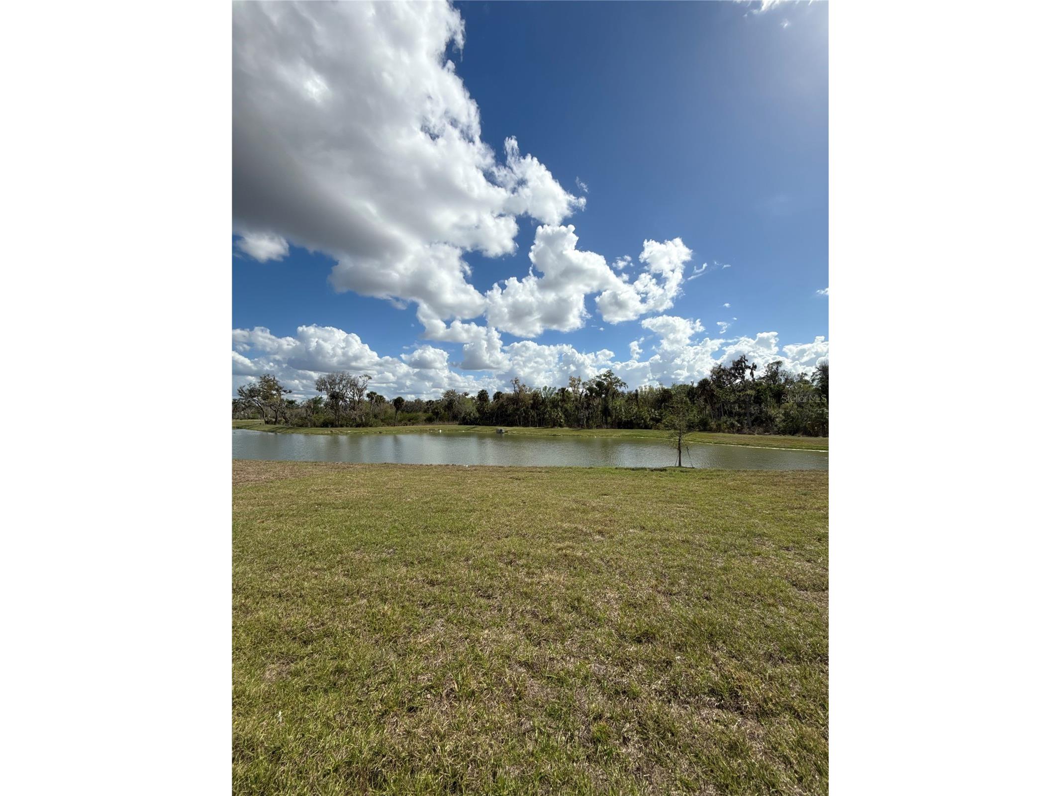 13119 Sassafras Trail Parrish FL 34219 A4684859 image12